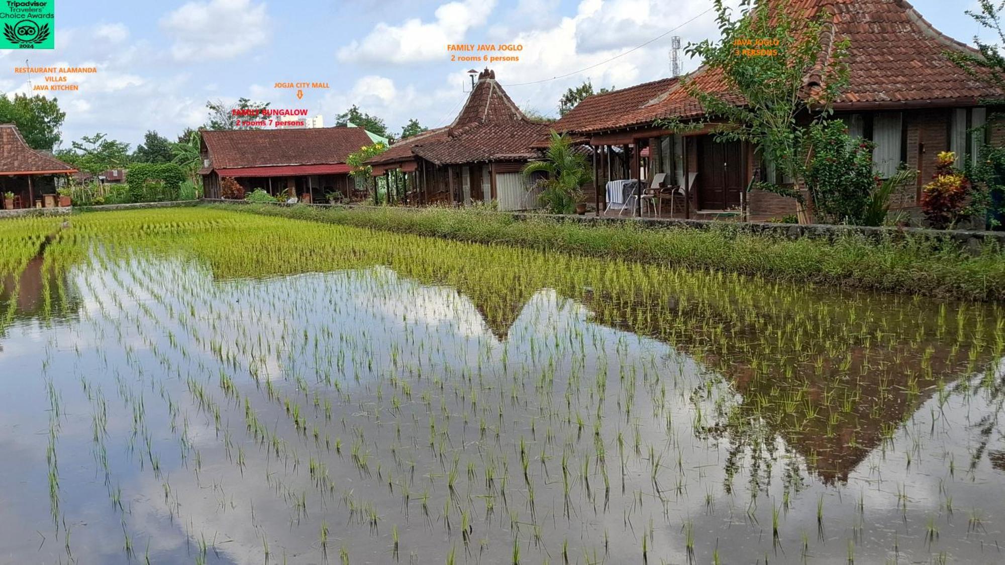 Alamanda Family Villas, Pool & Local Tours Джокьякарта Экстерьер фото
